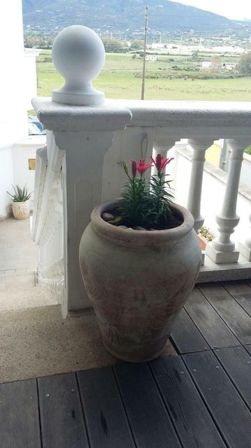 Anno Domini Bed and Breakfast Olbia Eksteriør billede